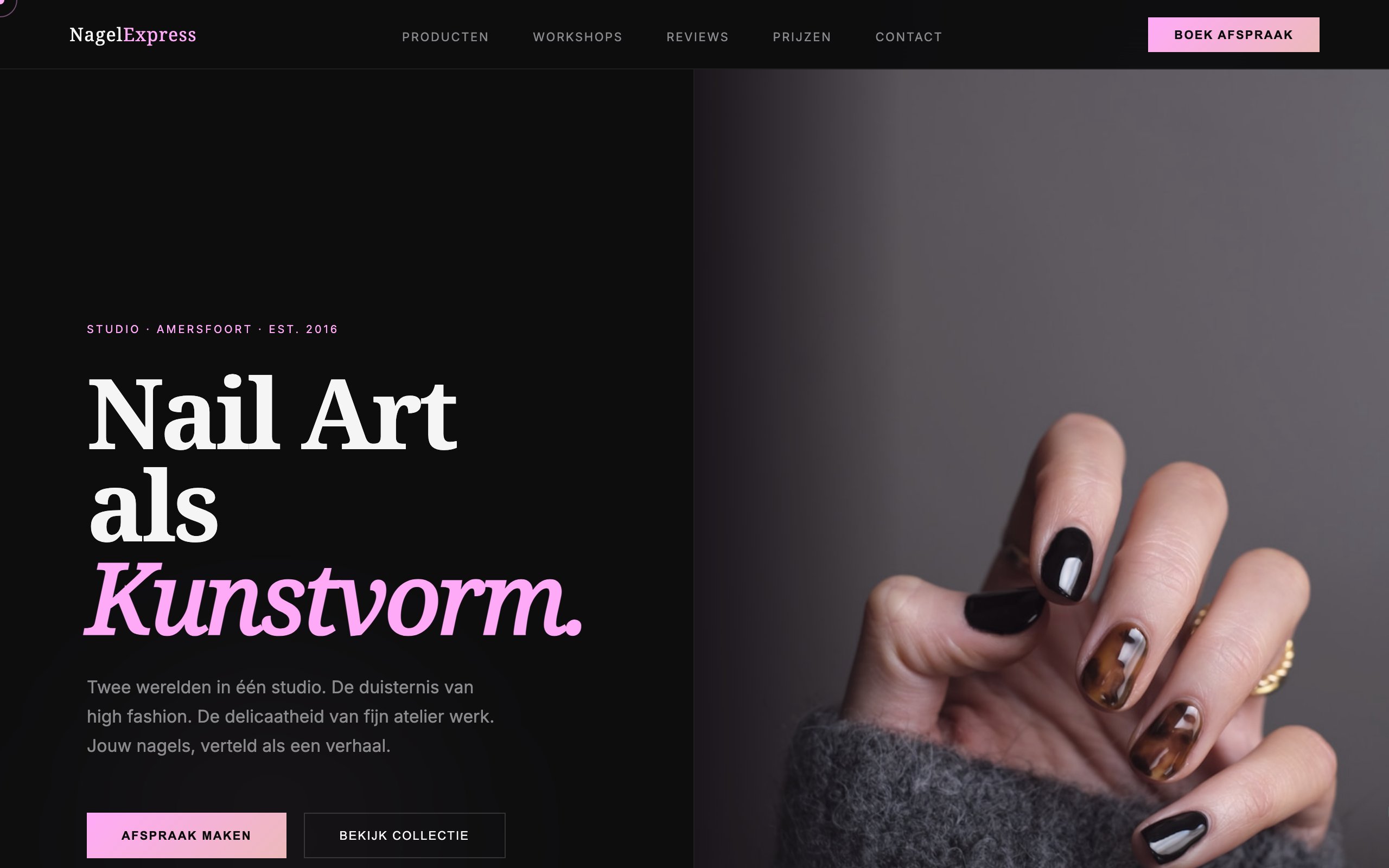 Screenshot van Nagel Express website